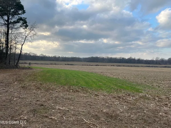 $725,000 | 51 U Highway South, Duck Hill, MS 38925