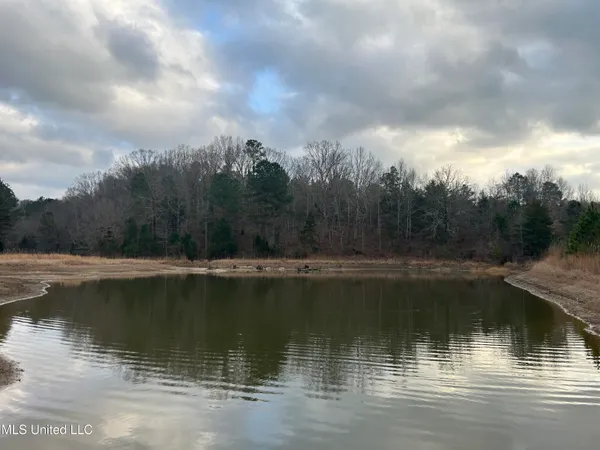 $725,000 | 51 U Highway South, Duck Hill, MS 38925