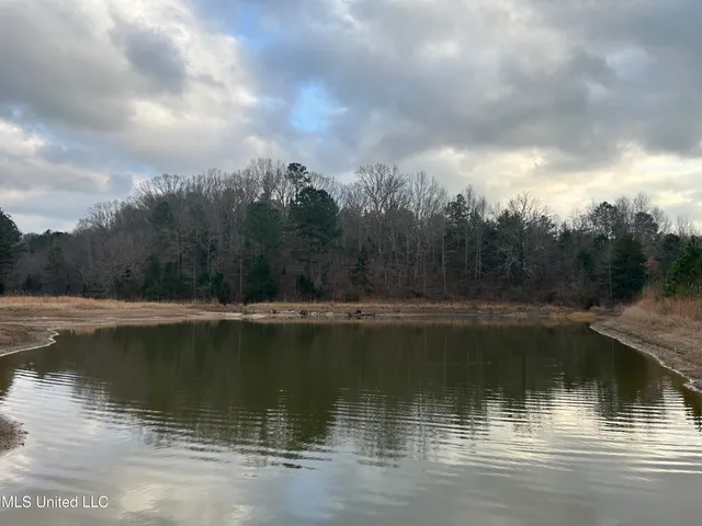 $725,000 | 51 U Highway South, Duck Hill, MS 38925