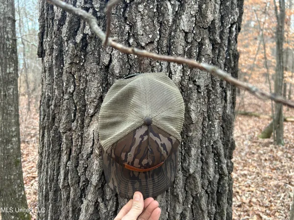 $725,000 | 51 U Highway South, Duck Hill, MS 38925