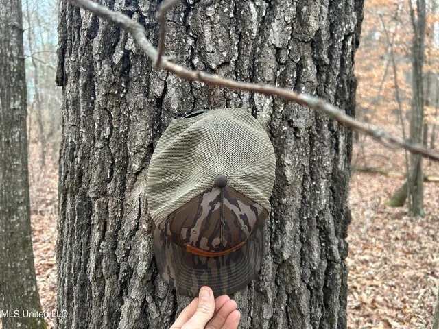 $725,000 | 51 U Highway South, Duck Hill, MS 38925