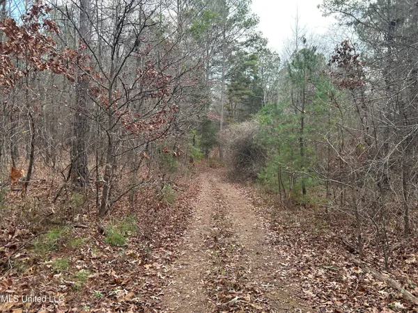 $725,000 | 51 U Highway South, Duck Hill, MS 38925