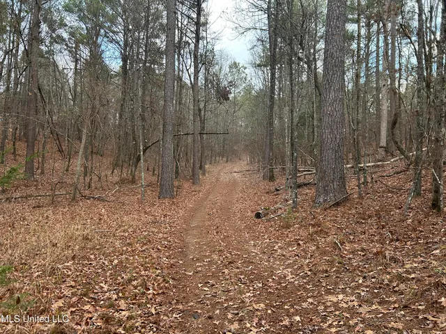 $725,000 | 51 U Highway South, Duck Hill, MS 38925