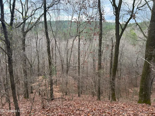 $725,000 | 51 U Highway South, Duck Hill, MS 38925