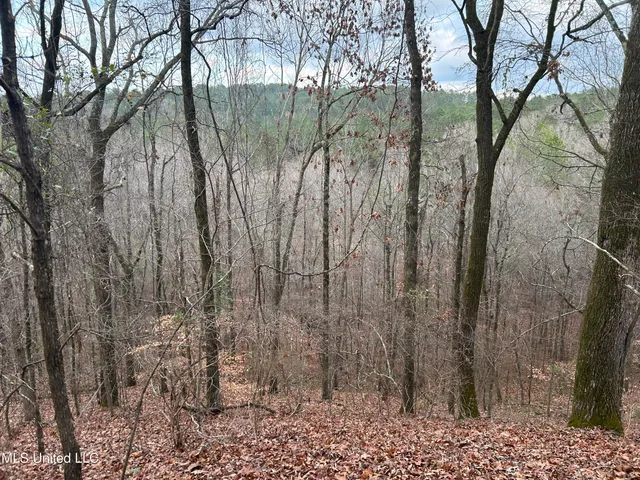 $725,000 | 51 U Highway South, Duck Hill, MS 38925