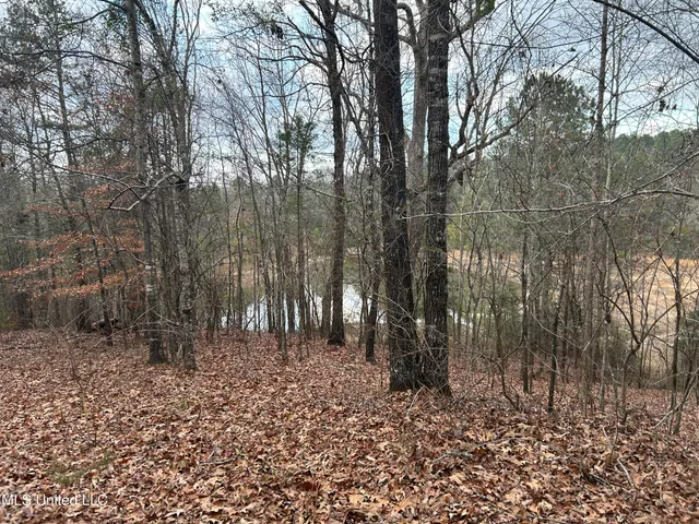 $725,000 | 51 U Highway South, Duck Hill, MS 38925