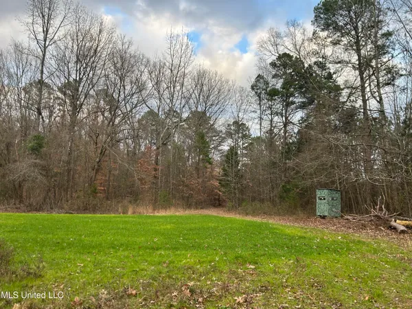 $725,000 | 51 U Highway South, Duck Hill, MS 38925