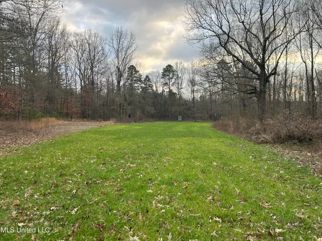 $725,000 | 51 U Highway South, Duck Hill, MS 38925