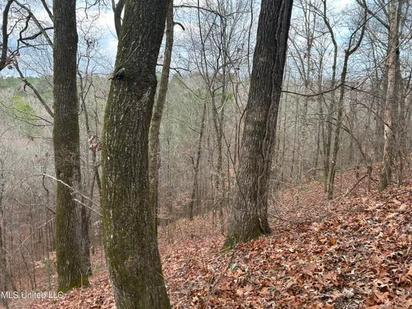 $725,000 | 51 U Highway South, Duck Hill, MS 38925