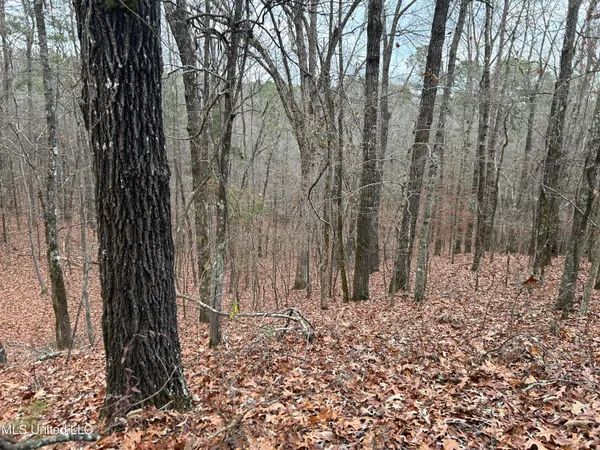 $725,000 | 51 U Highway South, Duck Hill, MS 38925