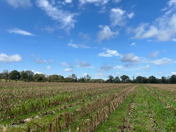 $725,000 | 51 U Highway South, Duck Hill, MS 38925