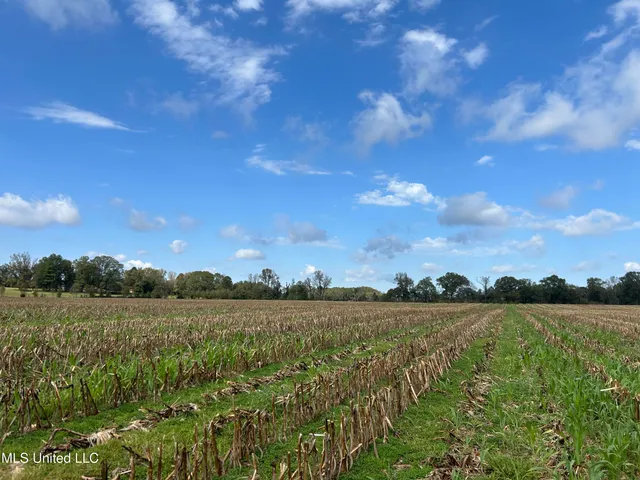 $725,000 | 51 U Highway South, Duck Hill, MS 38925