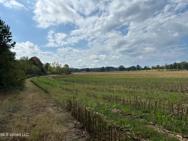 $725,000 | 51 U Highway South, Duck Hill, MS 38925