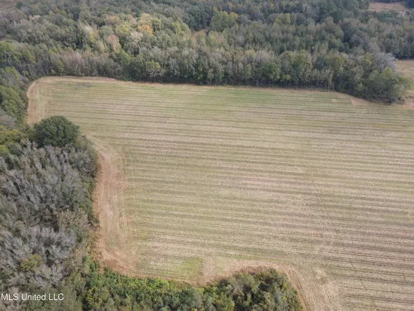 $725,000 | 51 U Highway South, Duck Hill, MS 38925