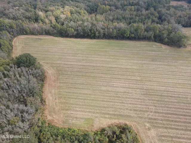 $725,000 | 51 U Highway South, Duck Hill, MS 38925