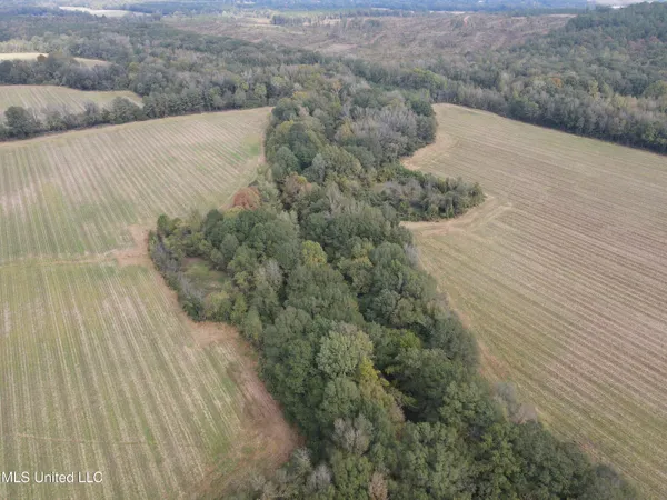 $725,000 | 51 U Highway South, Duck Hill, MS 38925