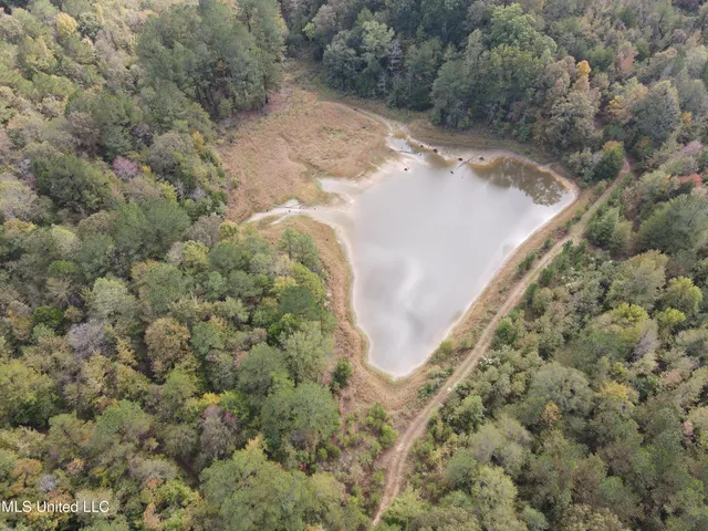 $725,000 | 51 U Highway South, Duck Hill, MS 38925