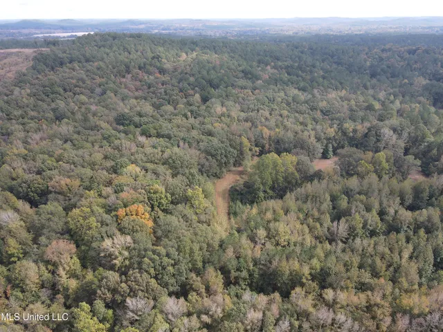 $725,000 | 51 U Highway South, Duck Hill, MS 38925