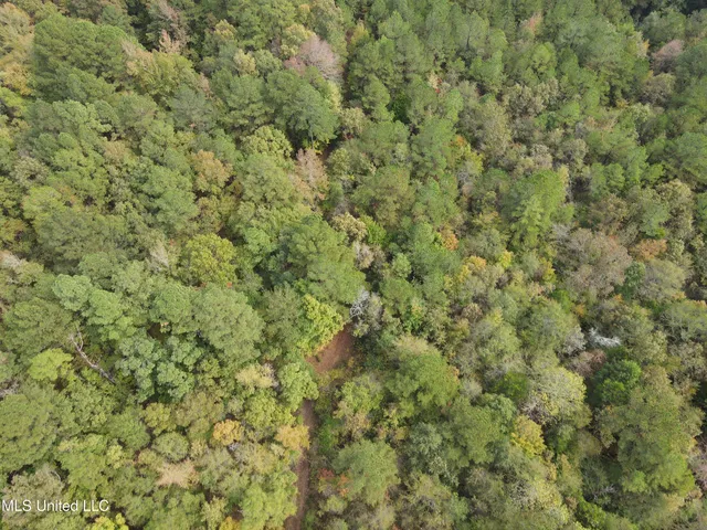 $725,000 | 51 U Highway South, Duck Hill, MS 38925