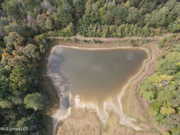 $725,000 | 51 U Highway South, Duck Hill, MS 38925