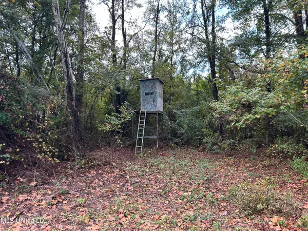 $725,000 | 51 U Highway South, Duck Hill, MS 38925