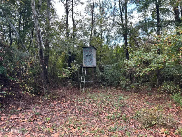 $725,000 | 51 U Highway South, Duck Hill, MS 38925