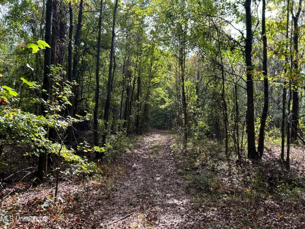 $725,000 | 51 U Highway South, Duck Hill, MS 38925