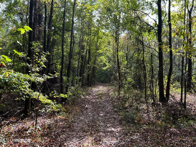 $725,000 | 51 U Highway South, Duck Hill, MS 38925