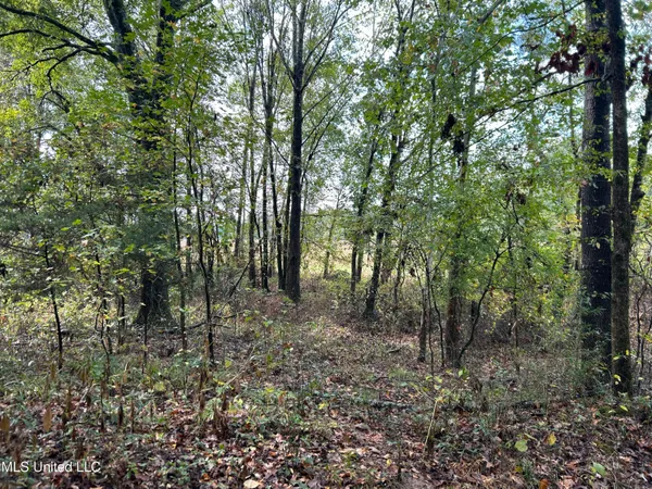 $725,000 | 51 U Highway South, Duck Hill, MS 38925