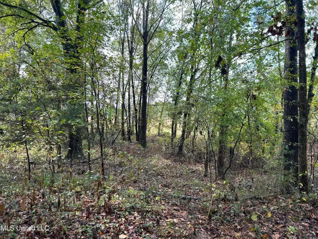 $725,000 | 51 U Highway South, Duck Hill, MS 38925