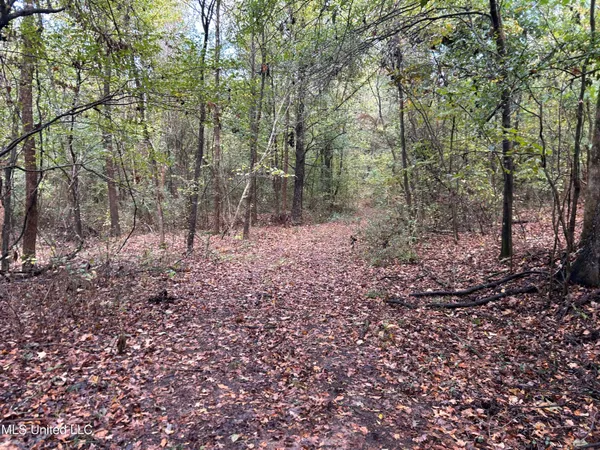 $725,000 | 51 U Highway South, Duck Hill, MS 38925