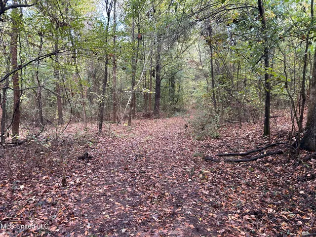 $725,000 | 51 U Highway South, Duck Hill, MS 38925