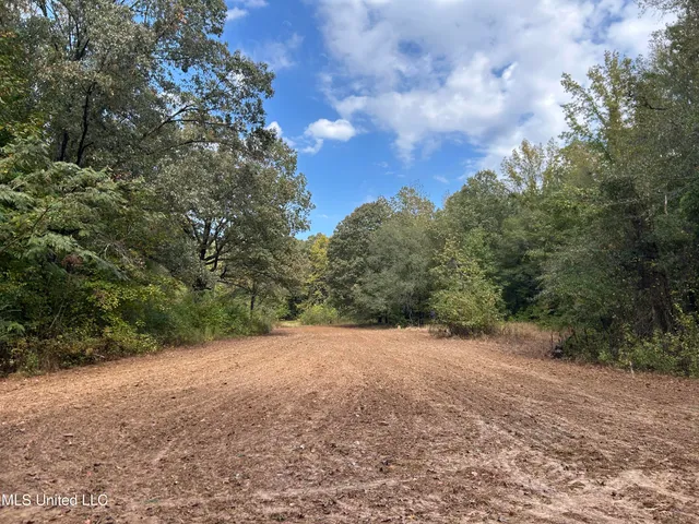 $725,000 | 51 U Highway South, Duck Hill, MS 38925
