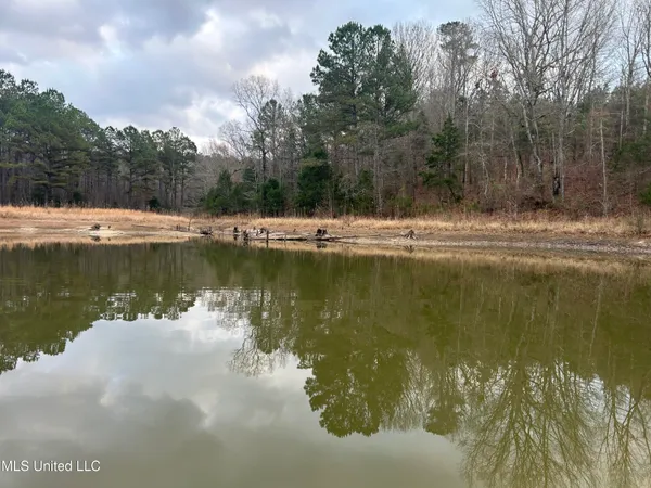 $725,000 | 51 U Highway South, Duck Hill, MS 38925