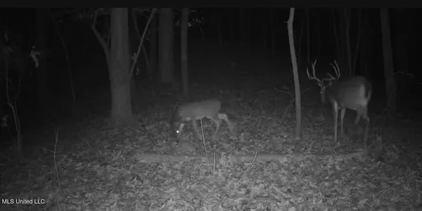 $725,000 | 51 U Highway South, Duck Hill, MS 38925