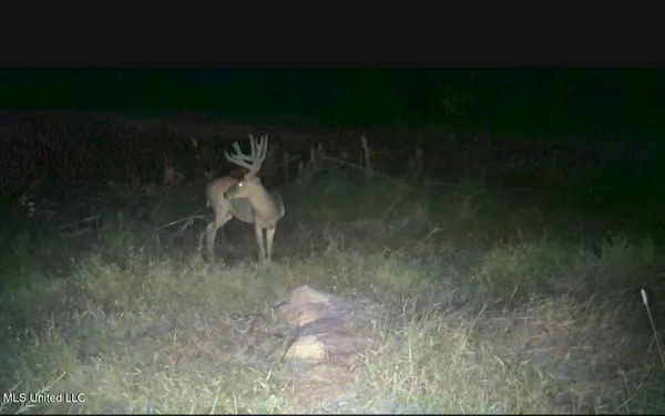 $725,000 | 51 U Highway South, Duck Hill, MS 38925