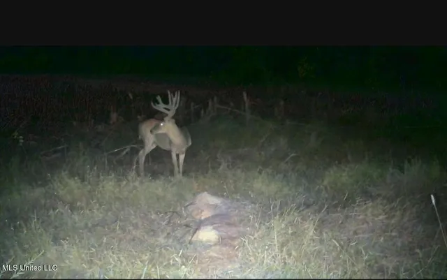 $725,000 | 51 U Highway South, Duck Hill, MS 38925