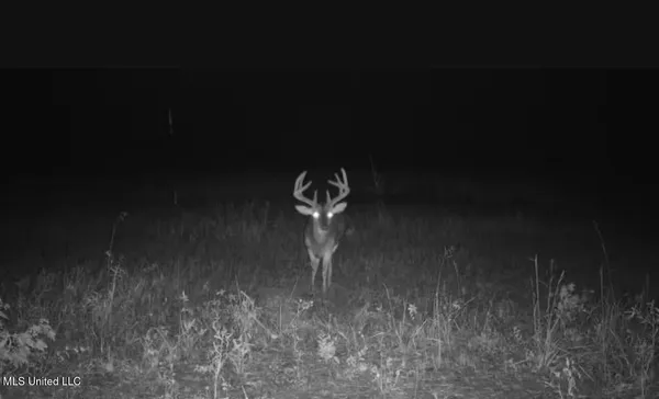 $725,000 | 51 U Highway South, Duck Hill, MS 38925