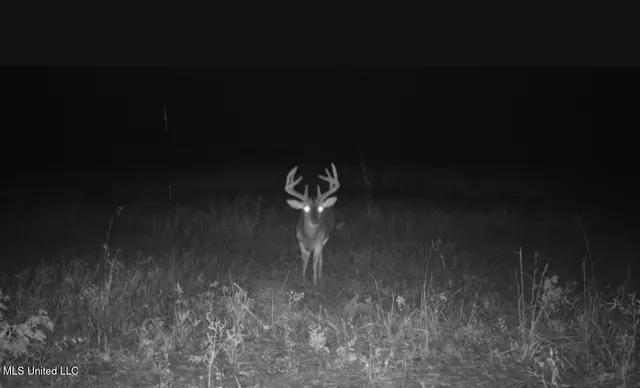 $725,000 | 51 U Highway South, Duck Hill, MS 38925