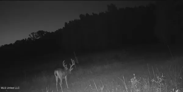 $725,000 | 51 U Highway South, Duck Hill, MS 38925