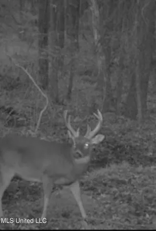 $725,000 | 51 U Highway South, Duck Hill, MS 38925