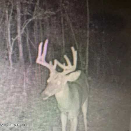 $725,000 | 51 U Highway South, Duck Hill, MS 38925