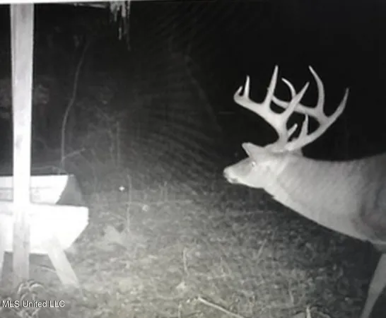 $725,000 | 51 U Highway South, Duck Hill, MS 38925