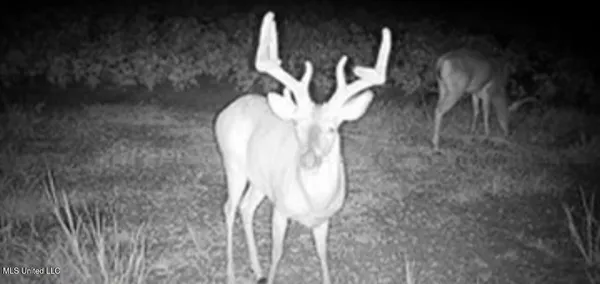 $725,000 | 51 U Highway South, Duck Hill, MS 38925