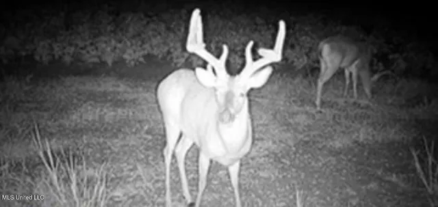 $725,000 | 51 U Highway South, Duck Hill, MS 38925