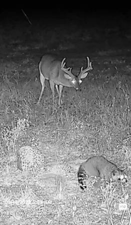 $725,000 | 51 U Highway South, Duck Hill, MS 38925