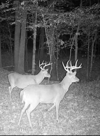 $725,000 | 51 U Highway South, Duck Hill, MS 38925