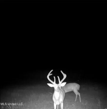 $725,000 | 51 U Highway South, Duck Hill, MS 38925