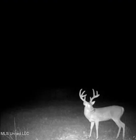 $725,000 | 51 U Highway South, Duck Hill, MS 38925