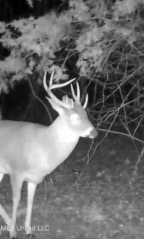 $725,000 | 51 U Highway South, Duck Hill, MS 38925